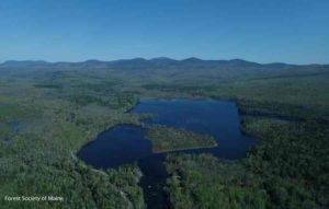 Aerial photo by FSM of Silver Lake.